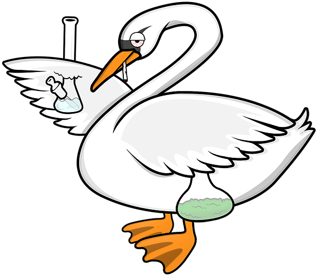 Swan - Duck (949x949)