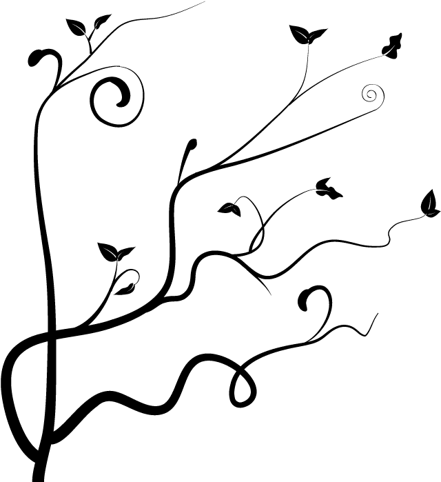 Next Is The Part Where You Can Be Creative, Just Keep - Vines And Branches (700x700)