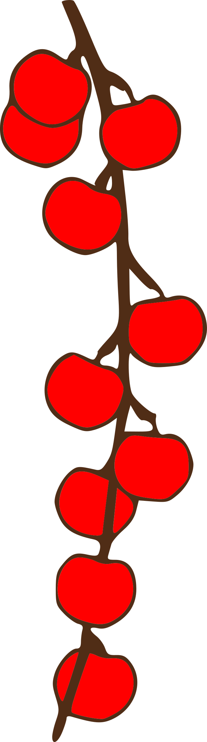 Free Apple Branch - Apple (250x900)