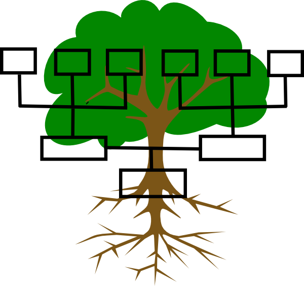 As The Vine Of Christ Grew, His Tendrils Extended To - Family Tree Graphic Organizer (600x563)