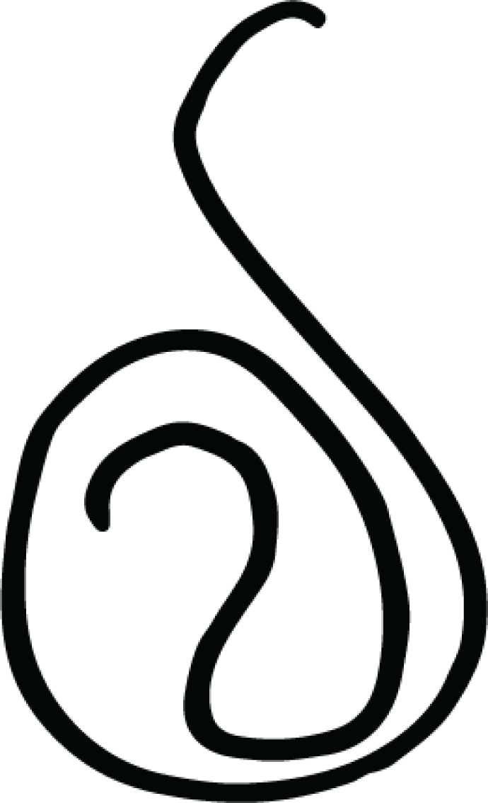 Necklace Sketch 8 - Necklace Sketch 8 (690x1134)