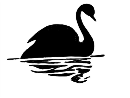Black Swan Clipart Bird Shadow - Black Swan Silhouette (640x480)