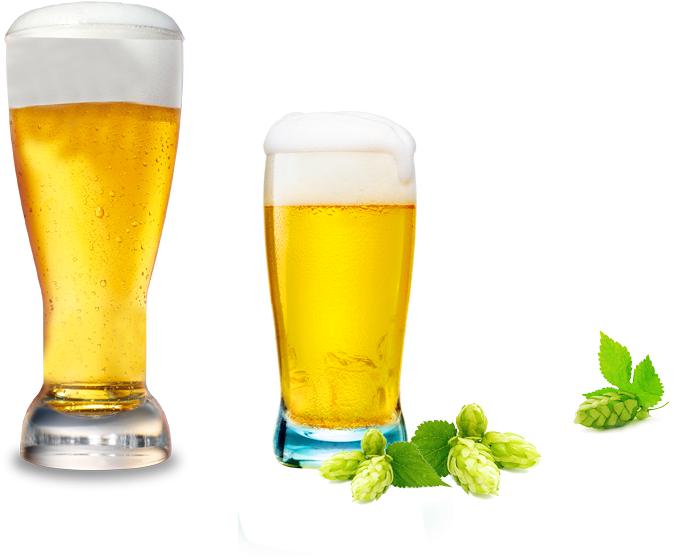 Lager Wheat Beer Cup Drink Draught Beer - Cup Of Beer Png (859x686)