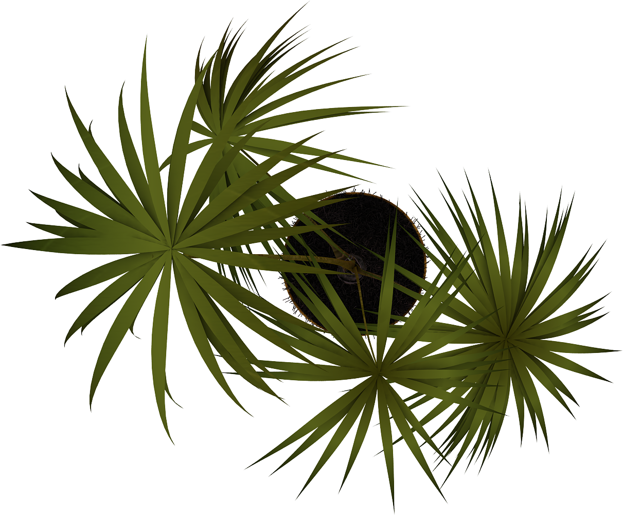 Tubos De Imagen - Plantas En Planta Png (1500x1500)