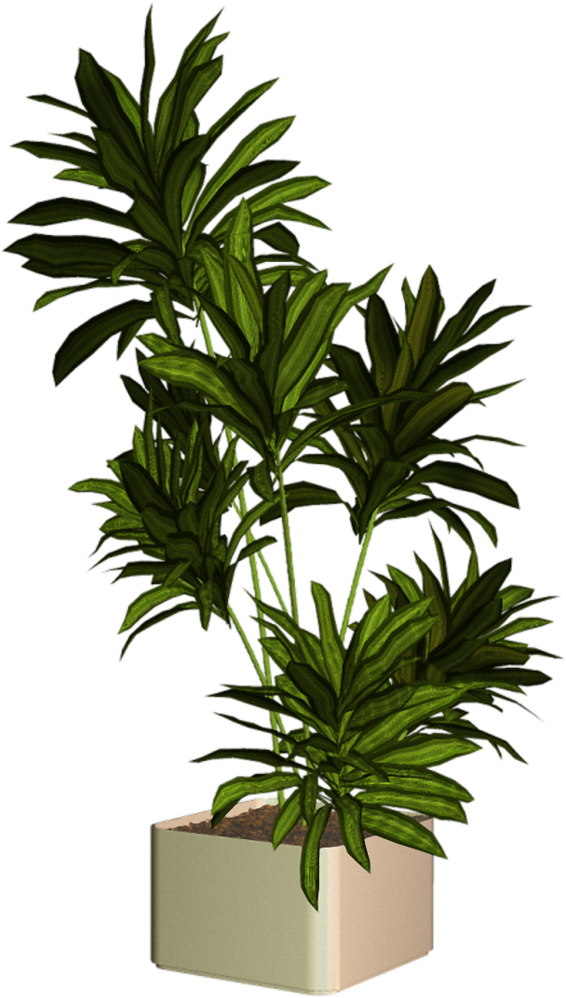 [ Img] - Plantas Png Para Photoshop (627x1024)
