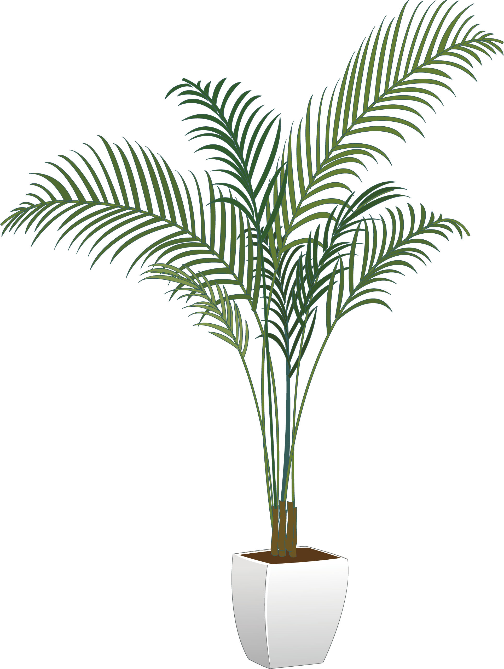 Arecaceae Maceta Planta De Interior - Indoor Plant Png (1929x2557)