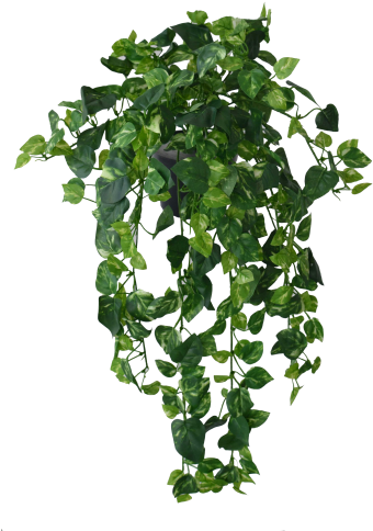 Planta Artificial Hera - Hanging Green (500x500)