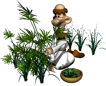 Resultado De Imagen Para Planta Gif Animado - Cartoon (350x350)