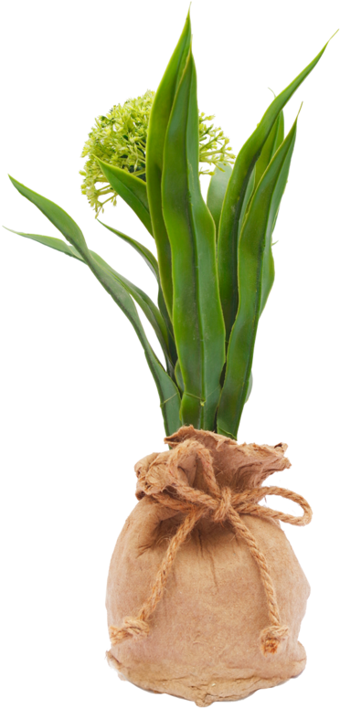 Bag Maceta Con Planta Artificial De Cartón Y Plástico - Flowerpot (1024x1024)