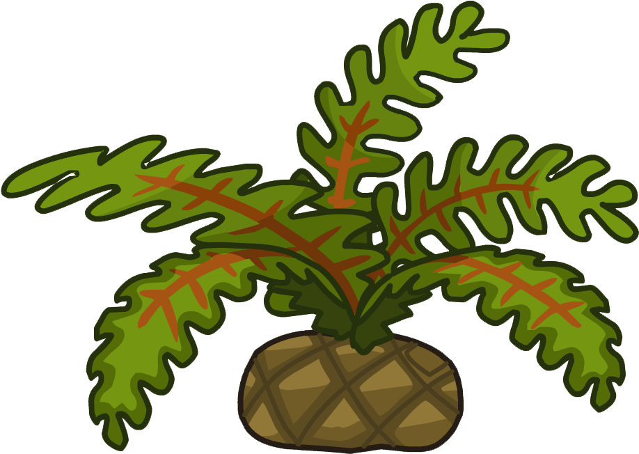 Publicado En 996 × 651 En - Houseplant (996x651)