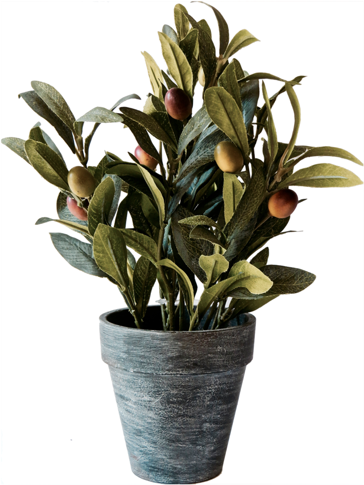 Finest Marbled Maceta Con Planta Artificial De Cermica - Houseplant (1024x1024)