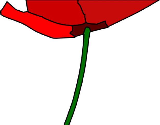 Poppy Clipart 4 Flower - Poppy Clipart 4 Flower (640x480)