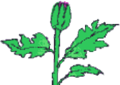 De Sostén De Una Planta - Animation Images Of Flower (400x352)