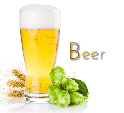 Field Of Biotechnologies And Of Processing Products - Beer How To Make (441x390)