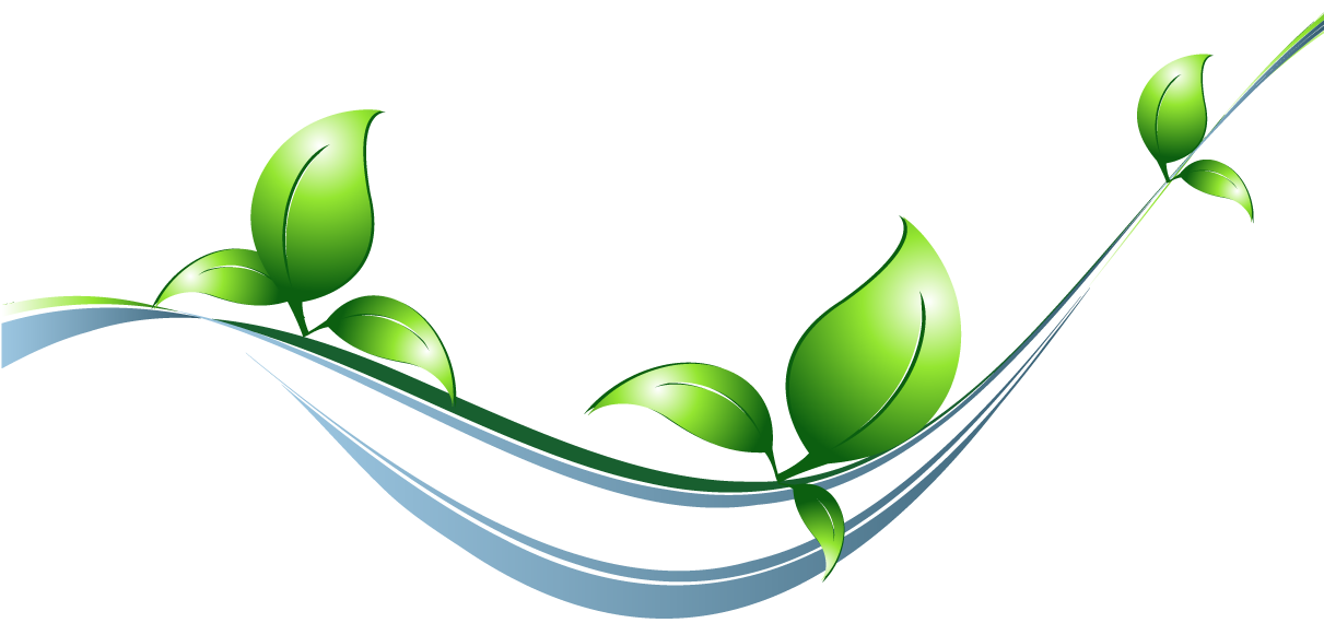 Plantas Webmail - Feuille D Arbre Logo Png (1210x601)