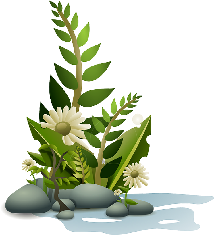 Planta Em Png Quero Imagem - Cartoon Plant Png (768x1024)