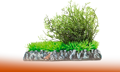 Artificiales Con Cesped - Marina Planta Artificial Acuario (500x300)