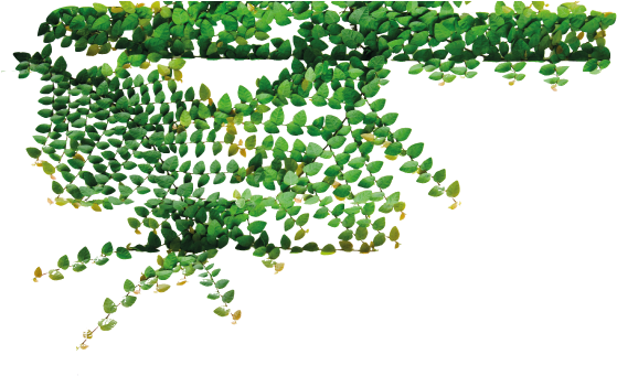 Generalmente No Le Damos Importancia A La Postura, - Tree (571x432)