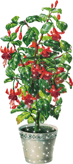 Imagen Animada Planta - Victorian Flowers Clip Art (250x561)