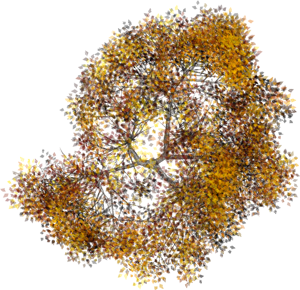 Arbol En Planta (1054×1018) - Arboles En Planta Png (1054x1018)