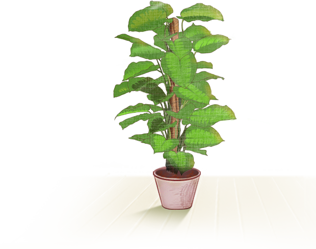 Plantas De Plastico Para Decoracion - Big Plants (620x488)