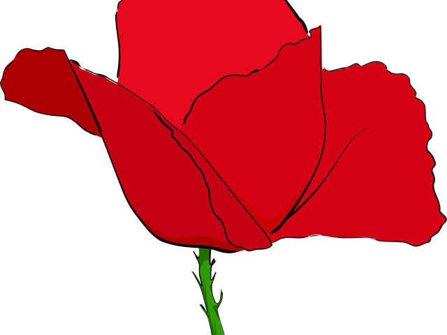 Poppy Clipart Coquelicot - Clip Art (640x480)