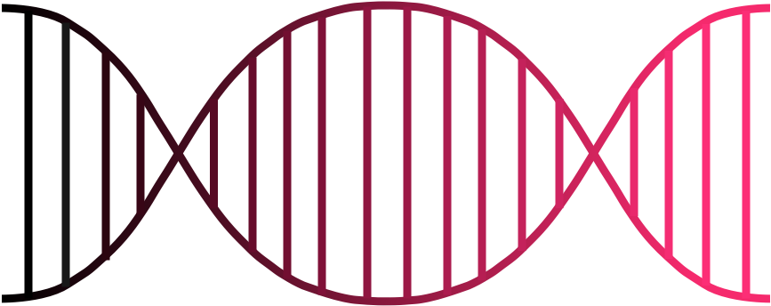 Dna Png - Barbecue (963x414)