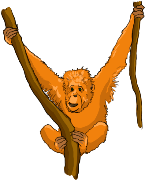 How To Draw Realistic Animals Step By Step For Free - Cartoon (600x600)