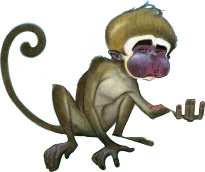 Spider Monkey (421x352)