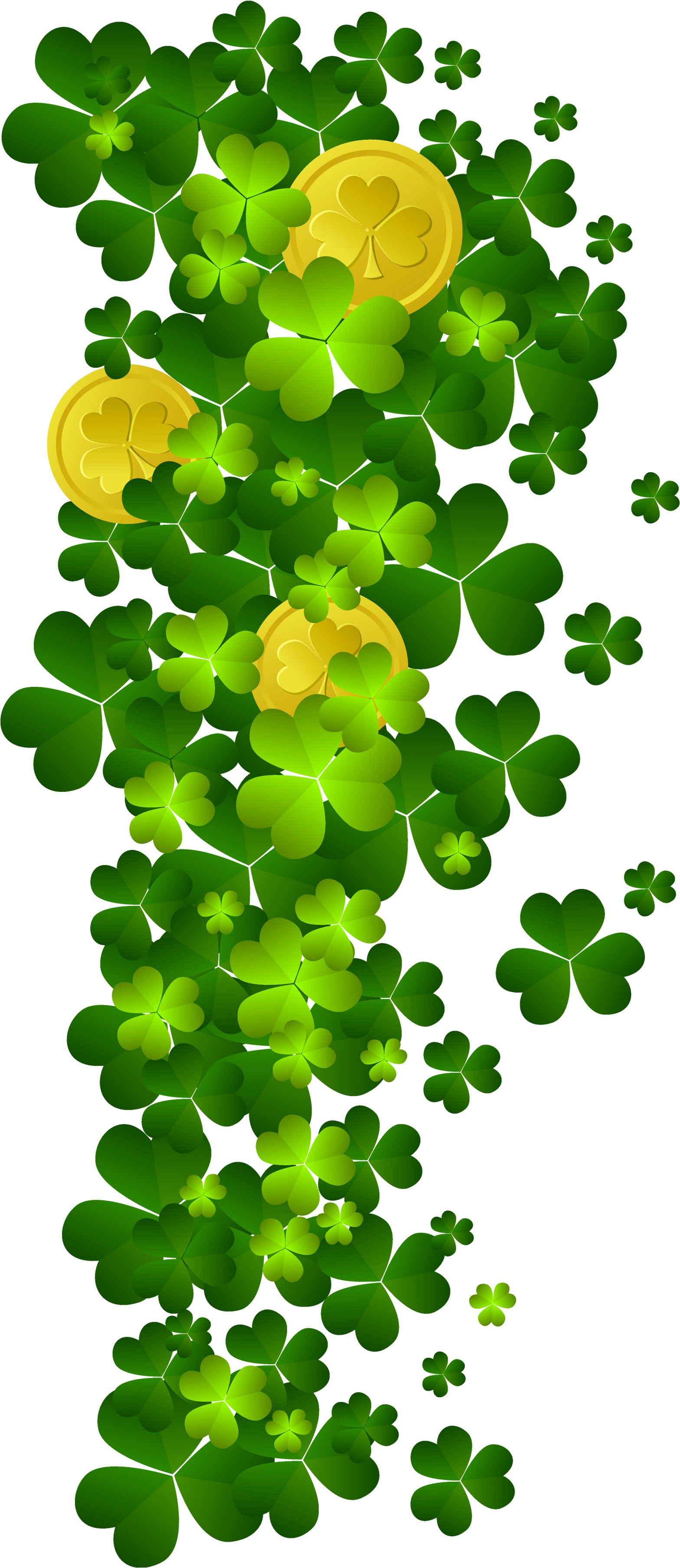 St Patricks Shamrock St Patricks Shamrock 27 With Coins - Gold Coins St Patricks Day Png (2056x3826)