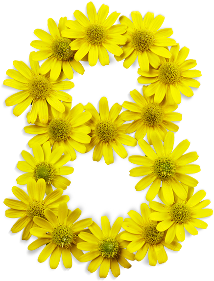 Sunflower (527x629)