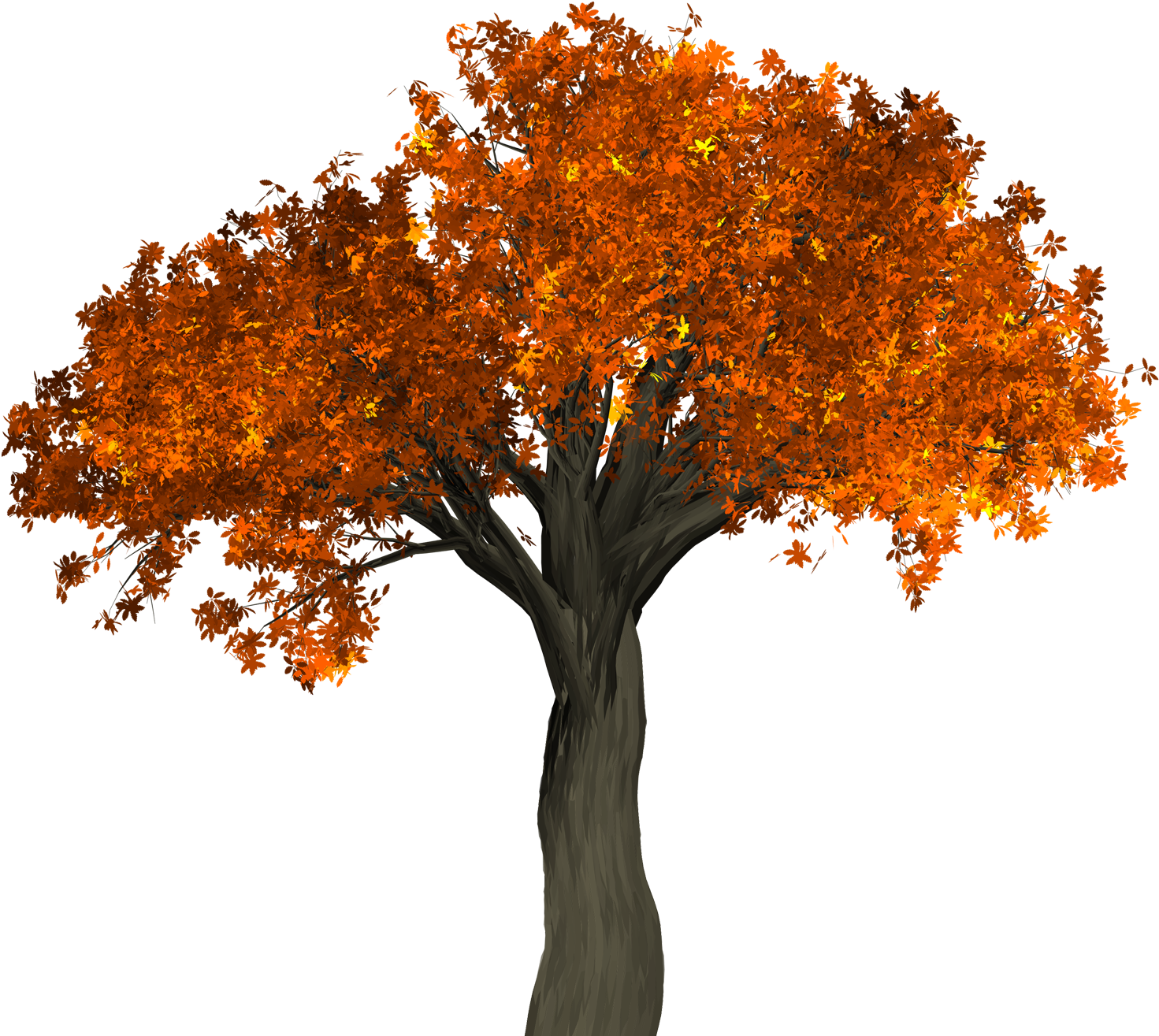 This High Quality Free Png Image Without Any Background - Autumn Tree Png (1600x1382)