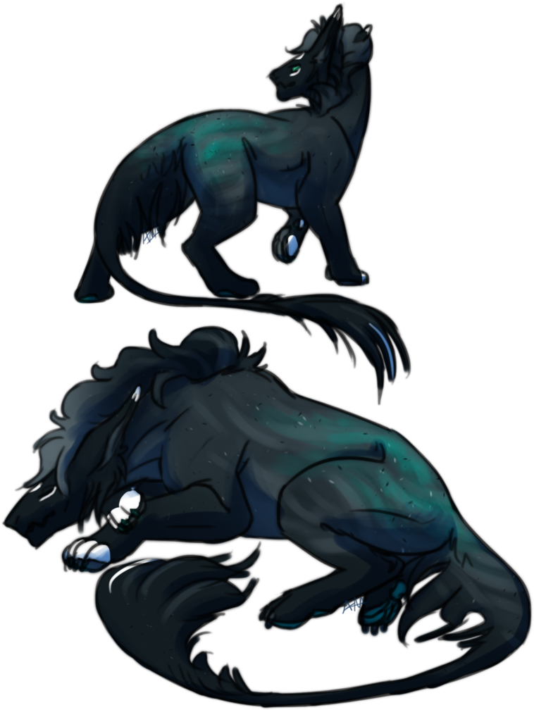 Clam Like A Night Sky By Dragon Master 13 - Illustration (776x1030)