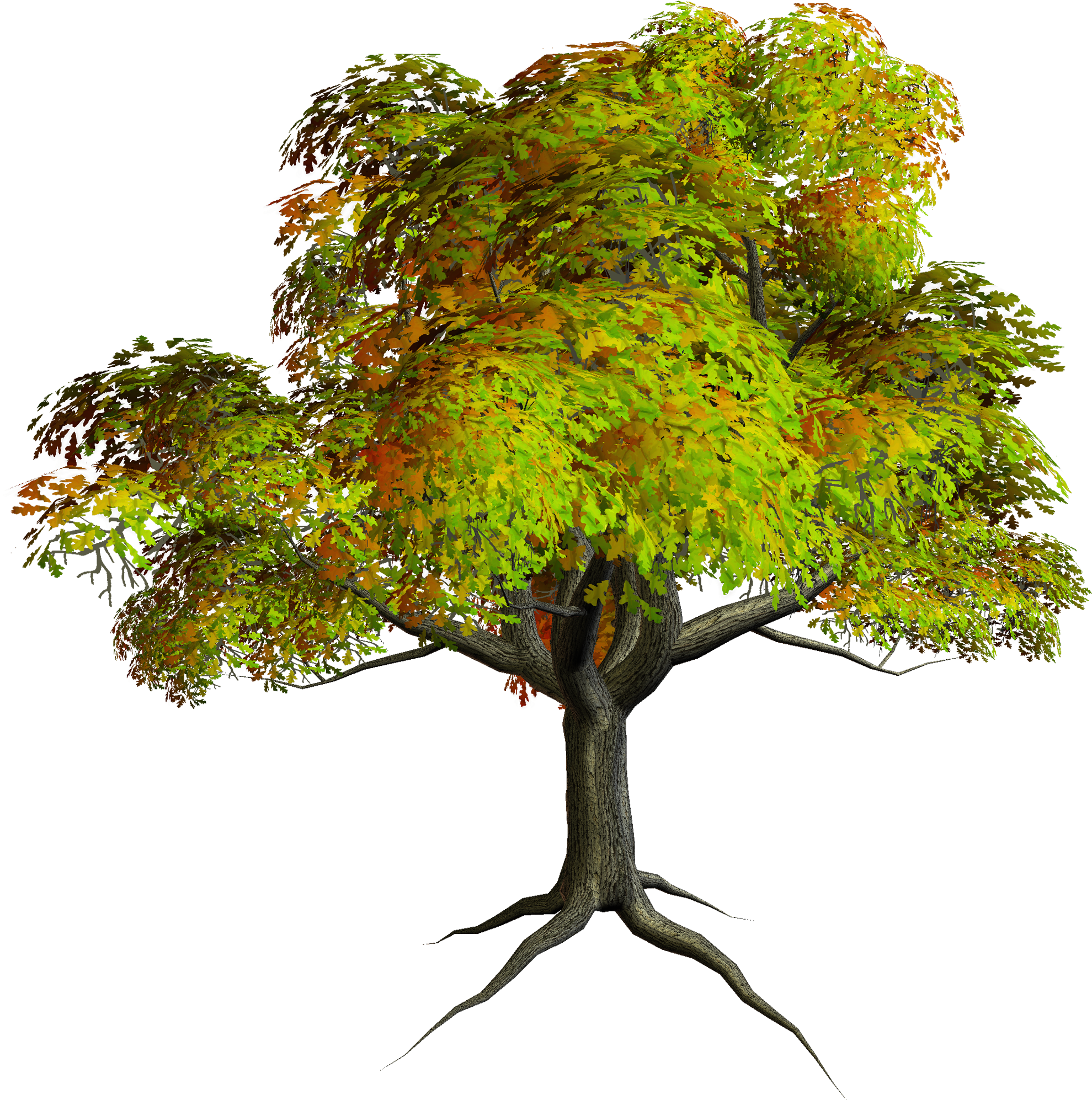 Autumn Png Tree Clipart - Cb Edits Tree Png (2000x2021)