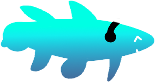 All Night Sky Viewing - Paper Coelacanth (564x320)