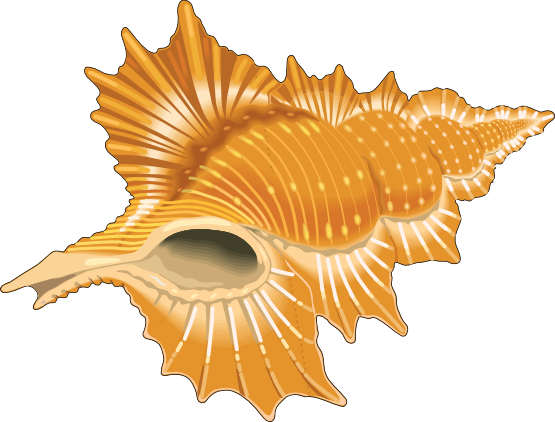 Clipart Illustration Of A Seashell And A Starfish - Sea Jewels Throw Blanket (555x422)