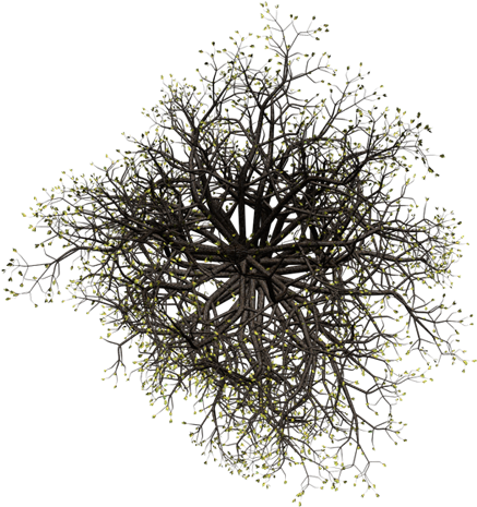 Here Is A Smaller Version Of A Late-fall Tree - Circle (500x500)