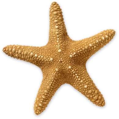 Red Starfish Png - Starfish Transparent (390x390)