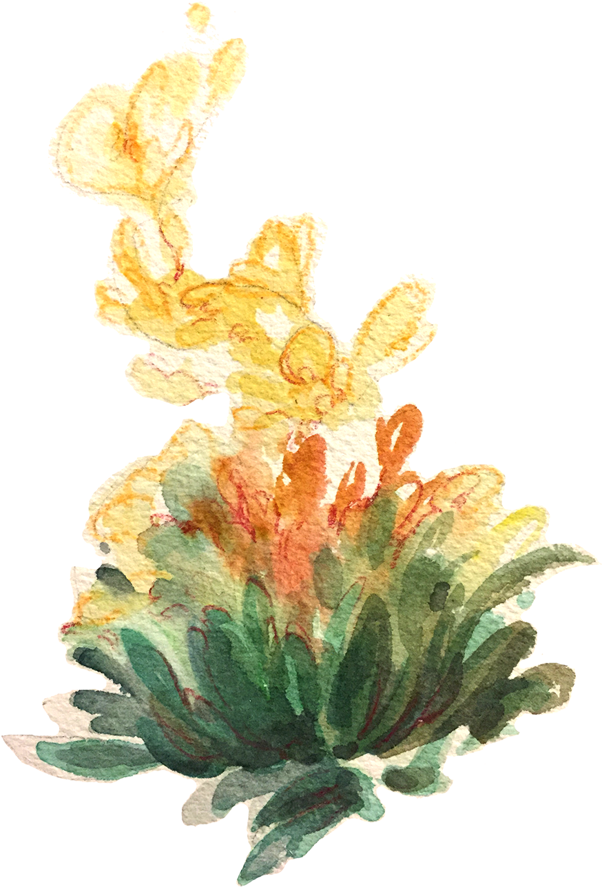 A Preview Of My Tea Leaves Study For A Zine Called - A Preview Of My Tea Leaves Study For A Zine Called (1000x1407)