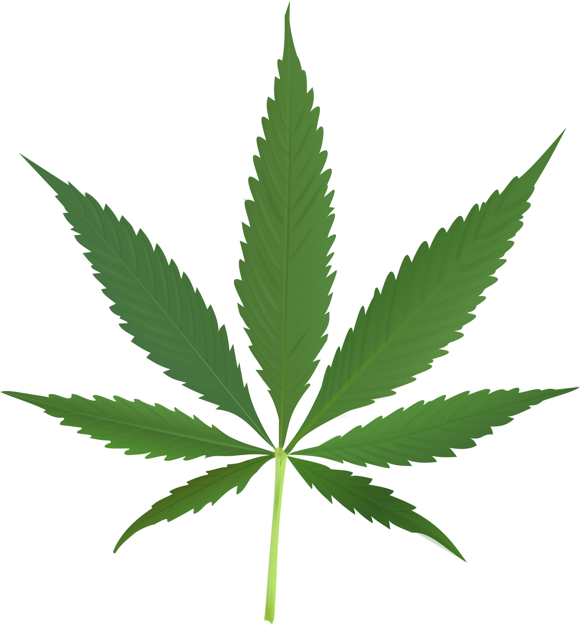 Does Marijuana Make You More Creative - Cannabis Leaf (2000x2164)