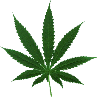 Marijuana Leaf - Cannabis Leaf (399x400)
