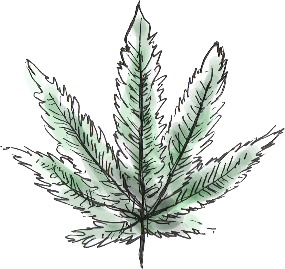 Why Legalizing And Decriminalizing Cannabis Is Crucial - Illustration (953x899)