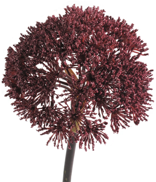 Bishop's Lace Burgundy - Bishop's Lace Burgundy Faux Flower (600x600)