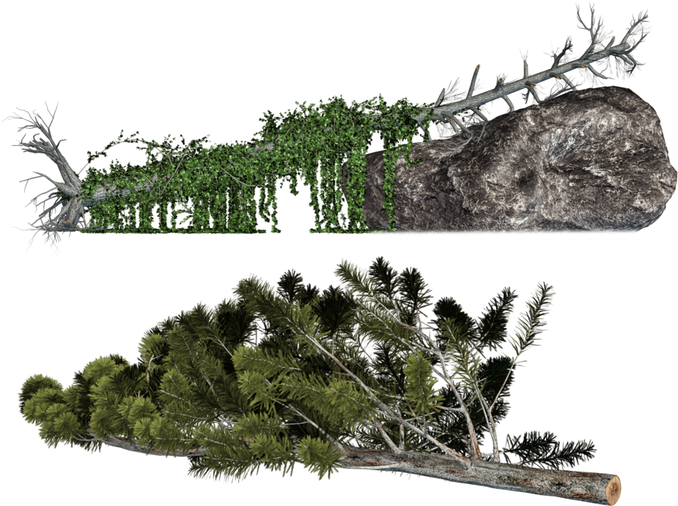 Transparent Log Wood Tree Pictures To Pin On Pinterest - Rock And Tree Png (1024x768)