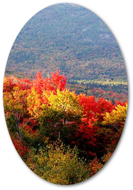 New Hampshire (519x724)