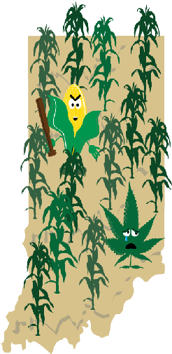 08 Aug 2016 - Illustration (256x512)