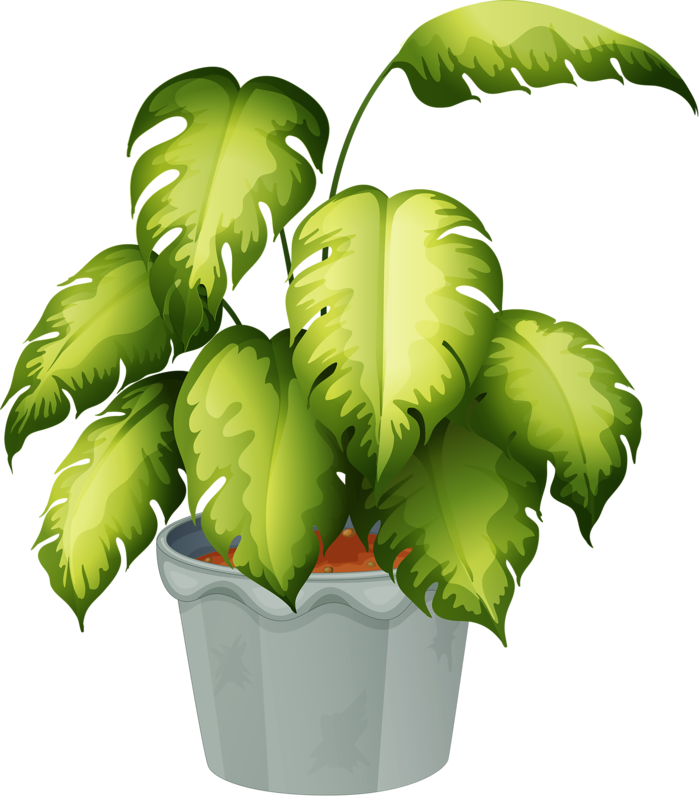 Flowerpots Clipart Different Flower - Flowering Plant And Non Flowering Plant (699x800)