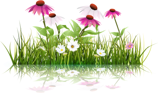 Wild Flowers Illustration - Green (537x330)
