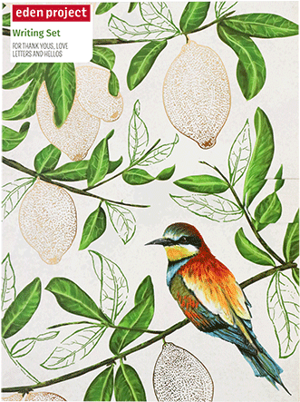 Eden Project Writing Set - Dopisní Set Eden Project By Portico Designs (600x600)