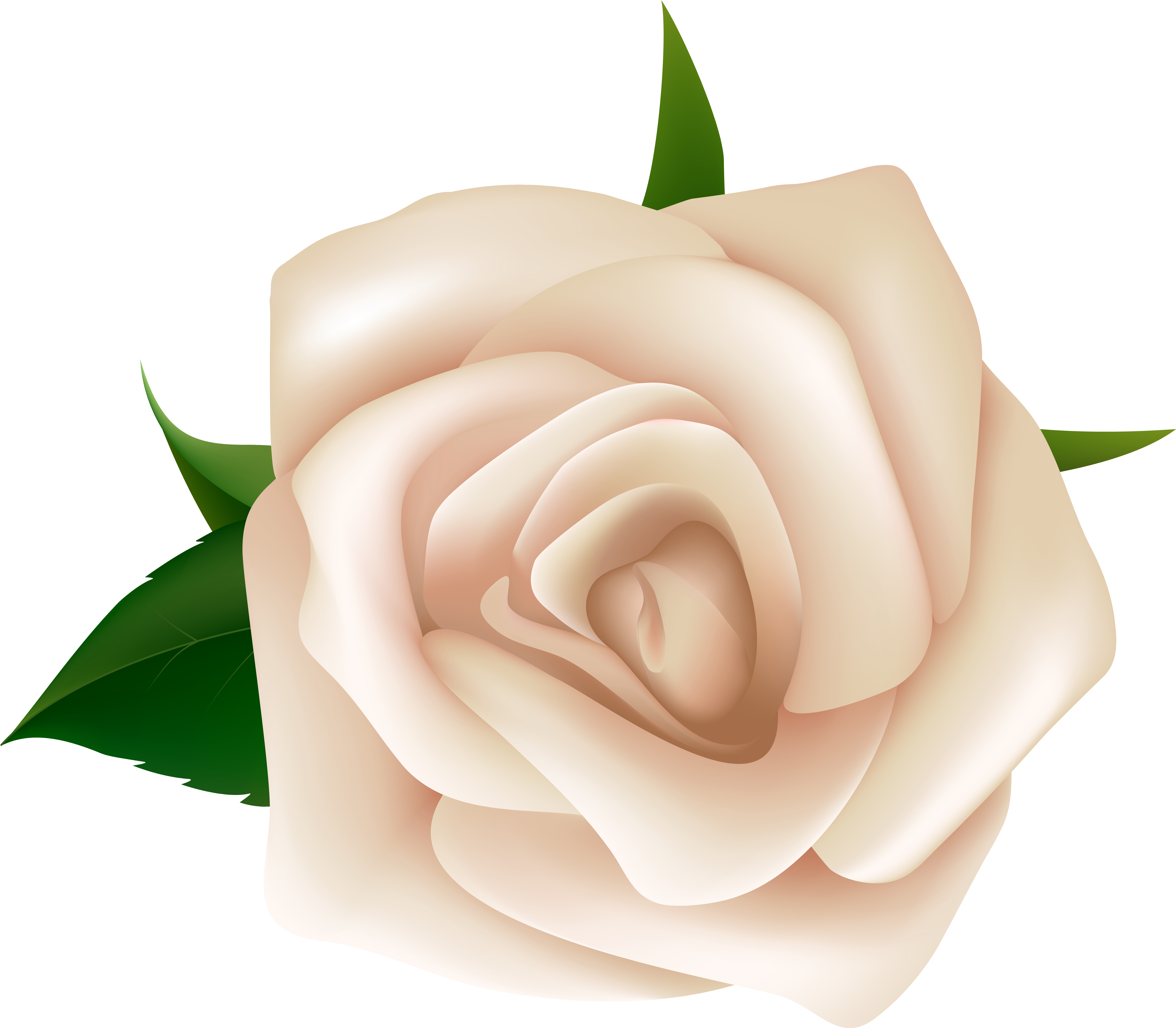 White Rose Clipart Png Image - White Rose Clip Art Png (6415x5608)